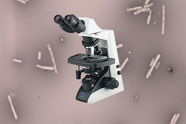 microscope-micro
